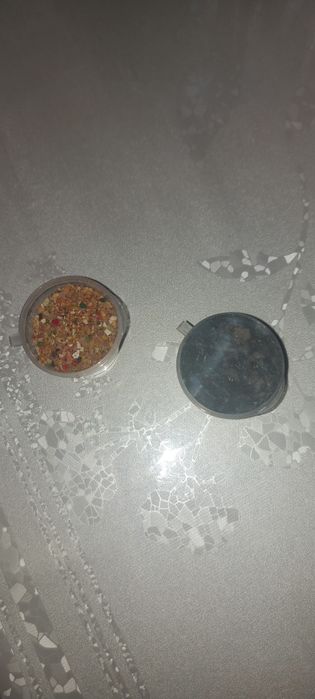 Продаётся малыш попугай