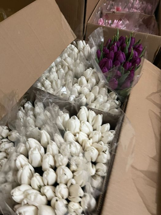 Тюльпаны в розницу Голландия