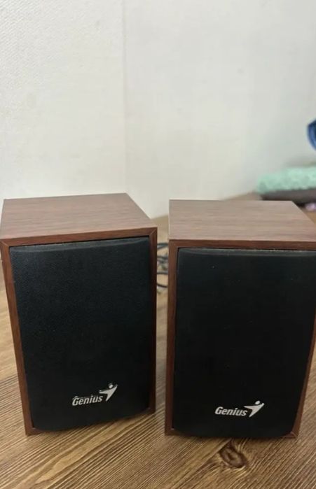 Колонки genious