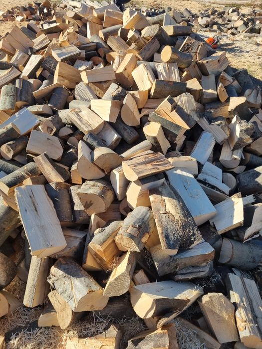 Lemne de foc fag si carpen capete uscate sau verzi 600.lei tona