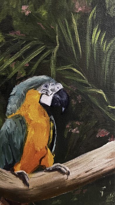 Картина „попугаи“ и „в траве“