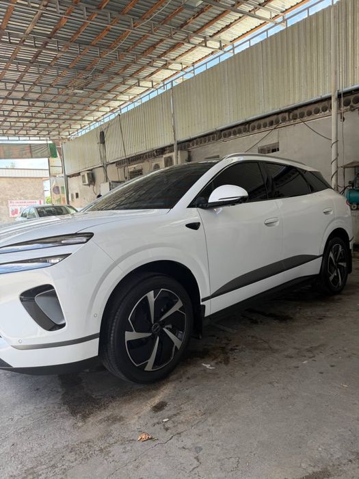 Byd selion 06 oq rang