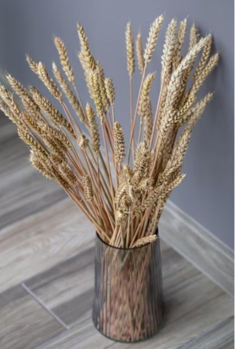 Колосья пшеницы для интерьера
