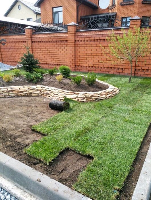 Газон под ключ озеленение