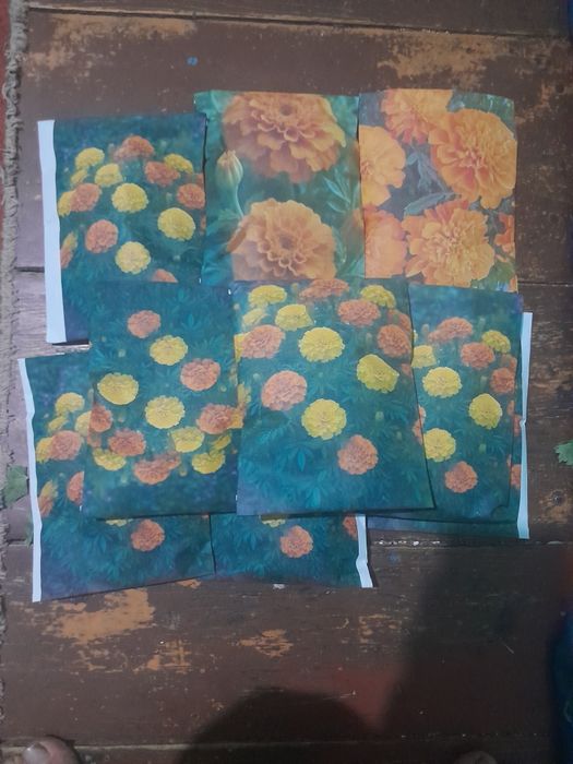 Shafran urug' / tagetes urug' / petunia urug'