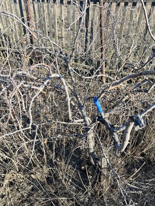 Продам дачу в сообщество горняк