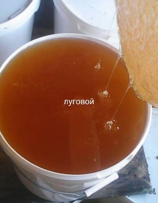 Мед свежий  2026года