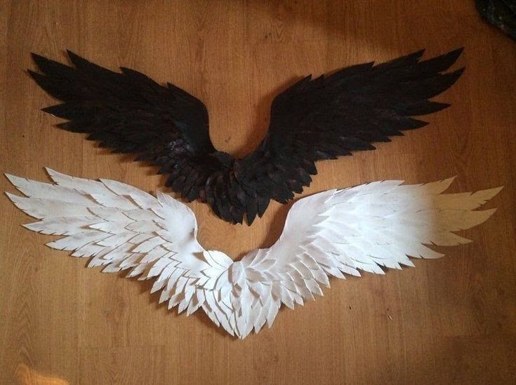 Крылья  демона и ангела
