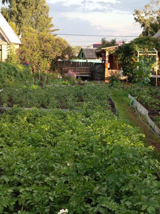 Срочно Продам дачу