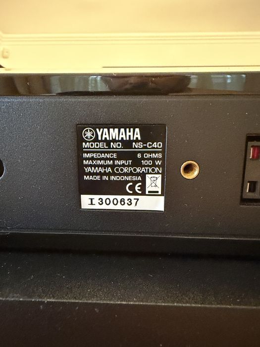 Boxe Yamaha NS-P40 5.0