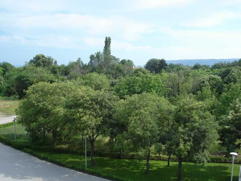 Дава се под наем Офис в Варна, Чайка - 60 кв.м за 637.5 € - Снимка #5