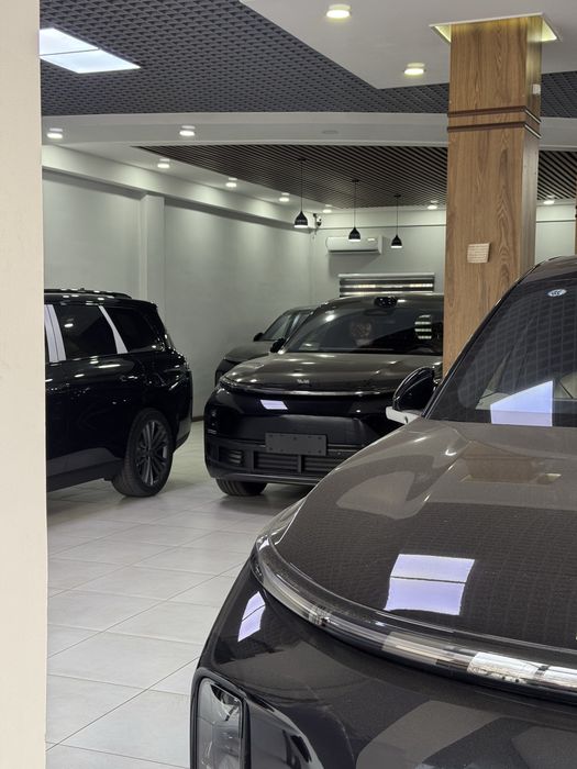 Lixiang L9/L7/L6 Ultra/Max garantiya bor