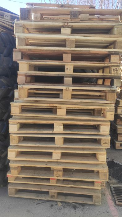 Paddon sotiladi 60 ming