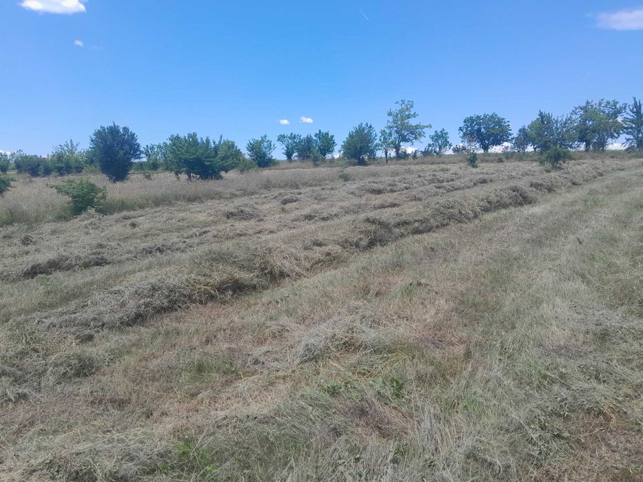 бали люцерна,ливадско сено и слама