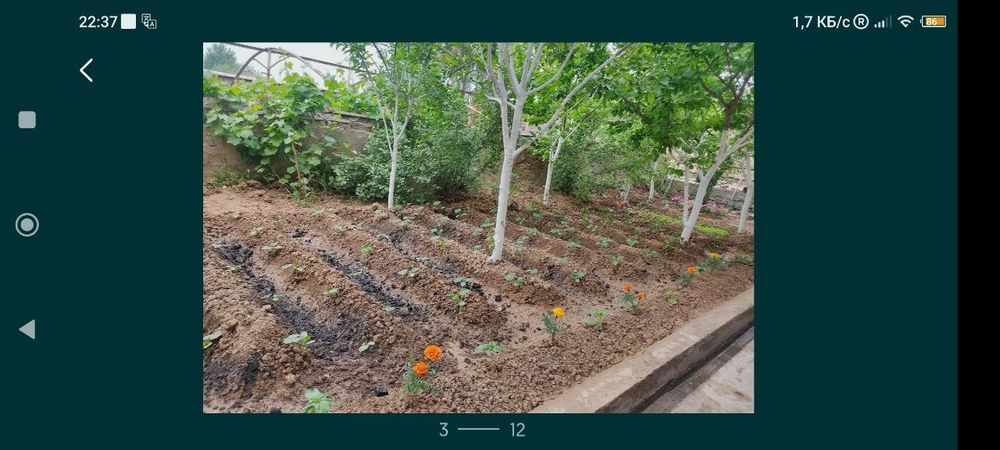 Продаётся дом с участком 16 соток — 5км от города, Зангиатинский район