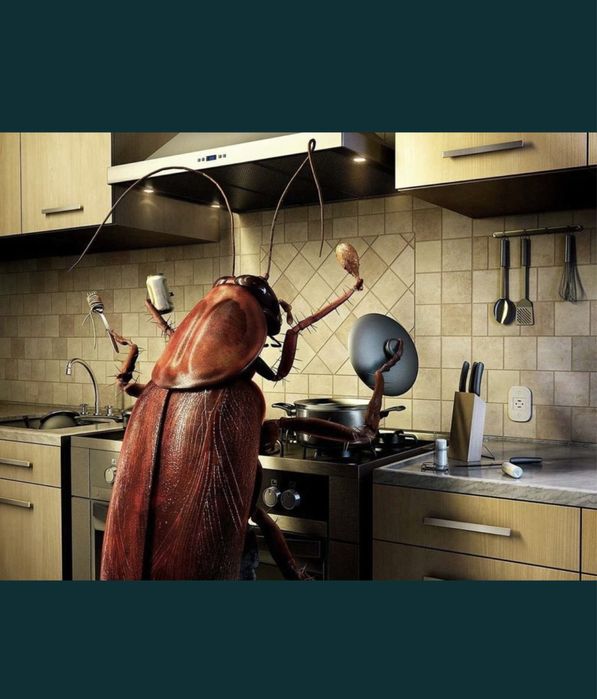 Дезинфексия 100 Дезинфексия