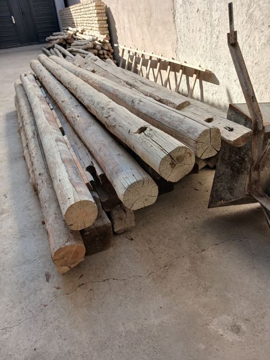 Синж болор каламалар сотилади