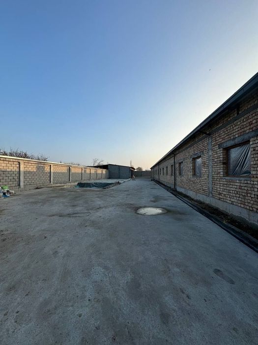 Продажа готовая ферма  на 200 голов крупного рогатого скота