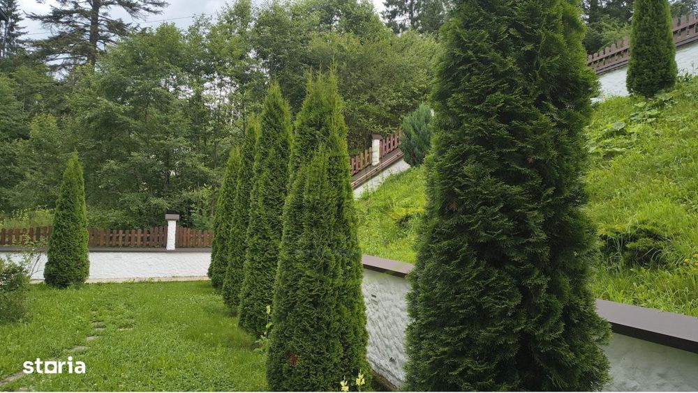 Penthouse cu vedere spectaculoasa catre Varful Omu si Masivul Bucegi |