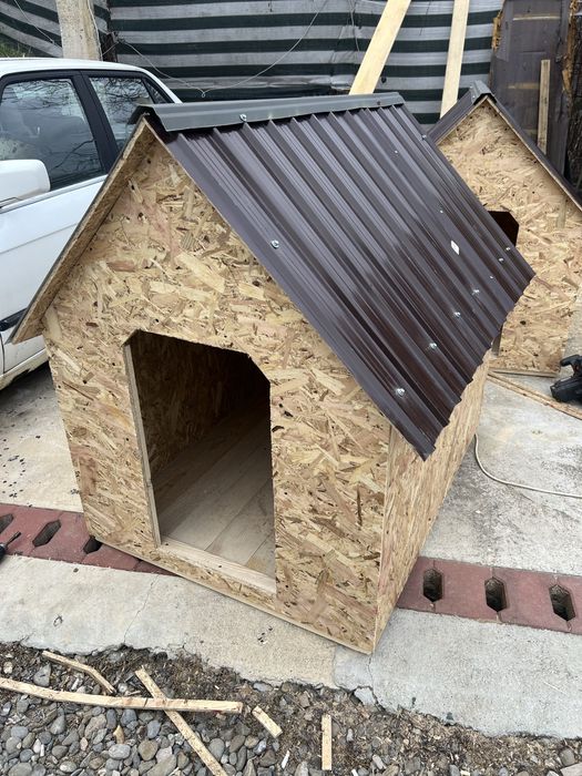 Vand cotet pentru caine - orice dimensiune la cerere