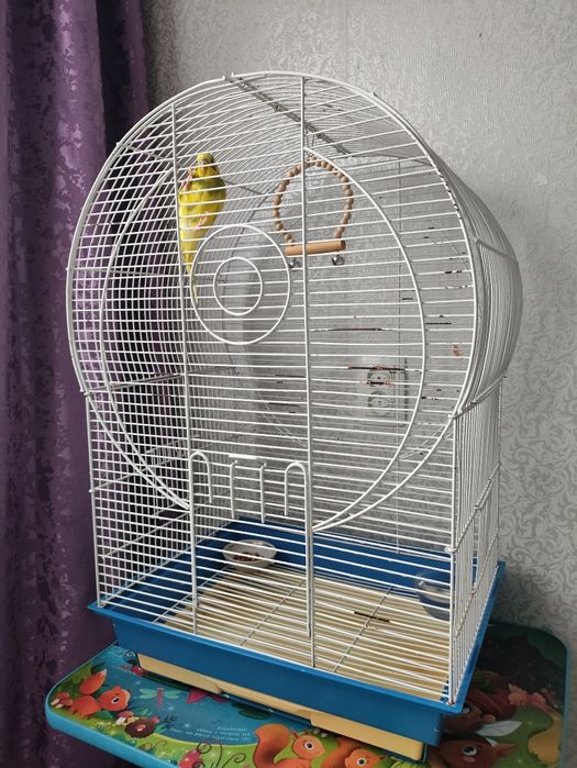 Клетка (за вашу цену)