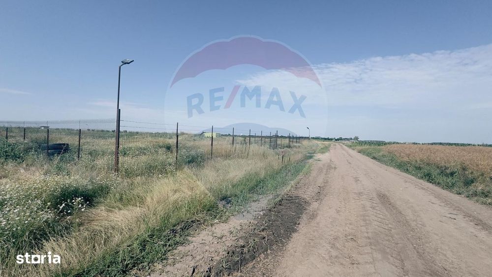 Teren agricol 16.750mp în Cârcea, imprejmuit, cultura capsuni, solarii