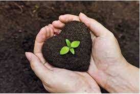 Тоза, сифатли Биогумус сотилади.