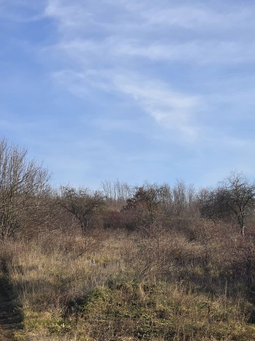 De vânzare doua hectare teren extravilan Corbita