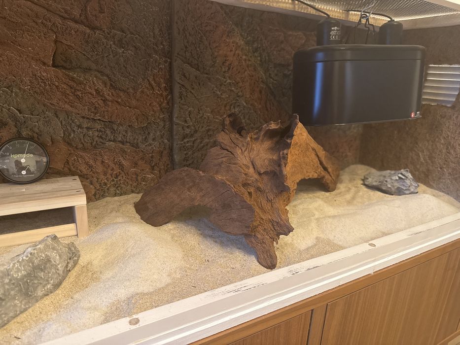 Acvariu, terariu, vivariu