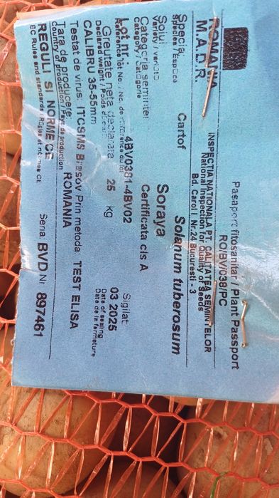 Cartofi de consum și sămânță