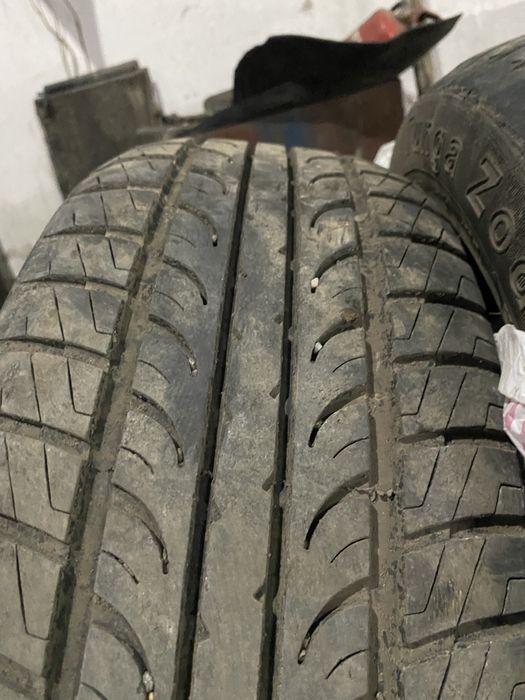 Резина Tunga 205/55/16