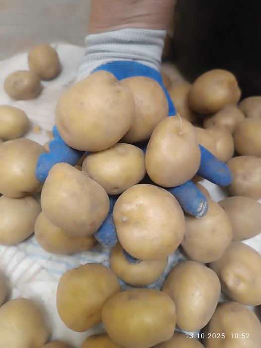 Продаю дачу на правом берегу