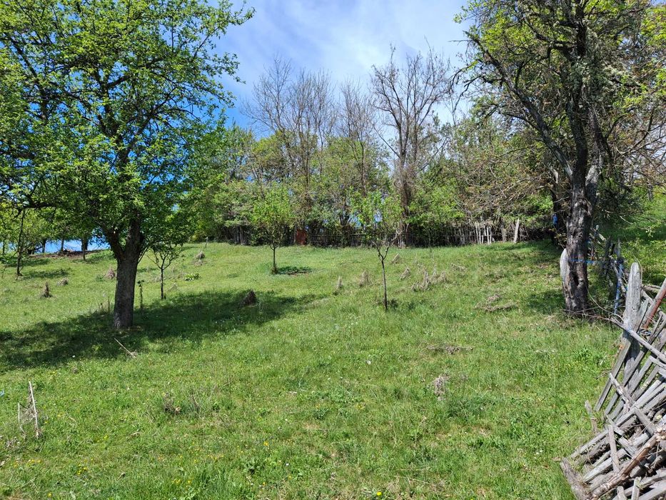 Два парцела с една къща