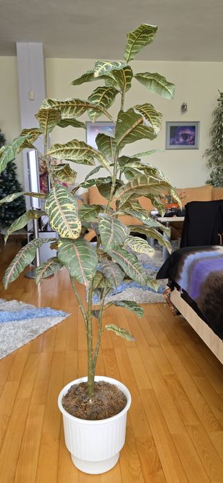 Изкуствено декоративно дърво