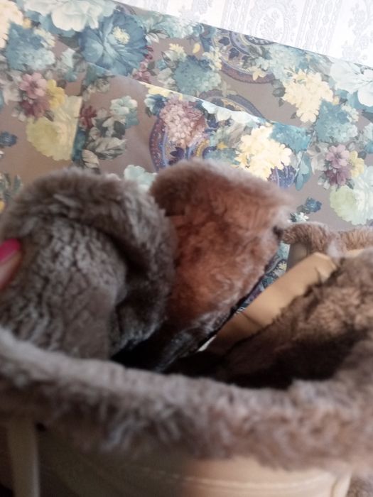 Сапоги женские б/у