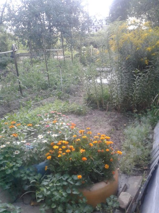 Продажа дачного участка