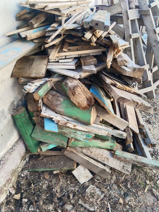 Отын баянға ағаштар на баню