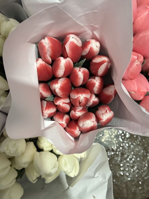 Lola Optomga  тюльпан