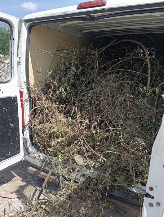 Чистене на мазета и тавани