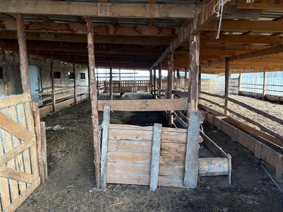 Фазенда мал баққанға өте ыңғайлы