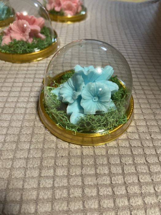 Сапунено цвете в купол