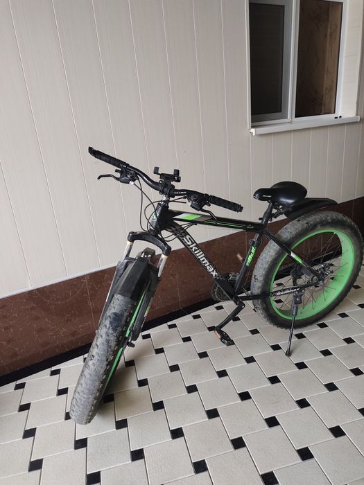 Kotta bollani velosipedi sotiladi