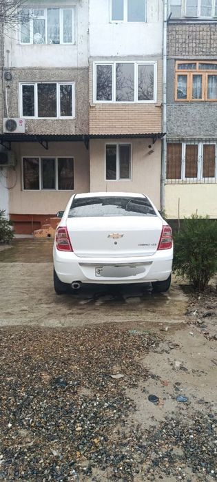 Cobalt 2020 срочно!