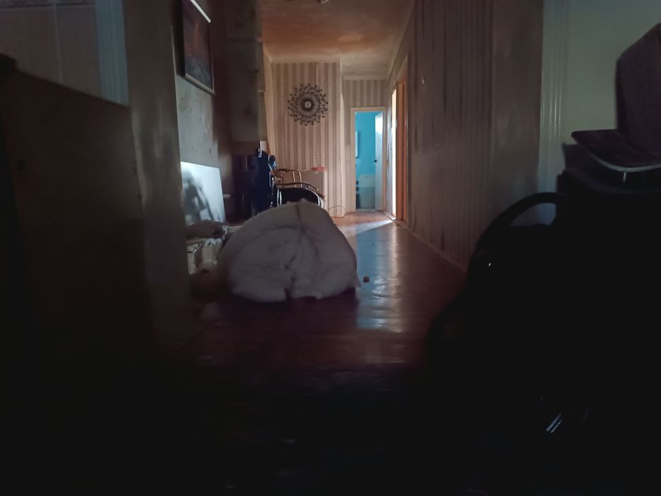 Квартира продаётся в янгиюле