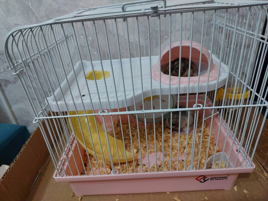 Хомячки с клеткои корм и опилки