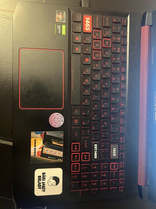 Acer Nitro 5 AN515-43