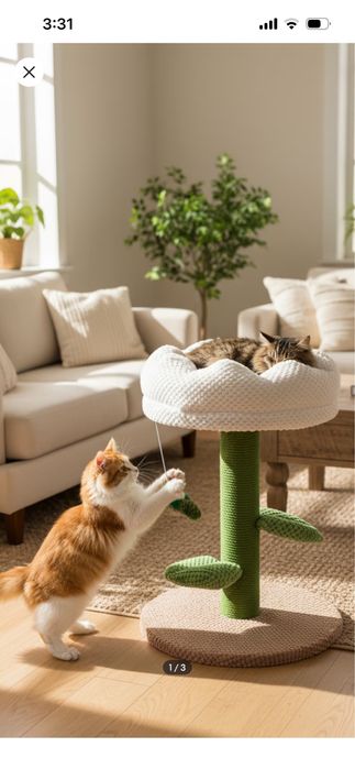 Драскалка за котка Sinsay