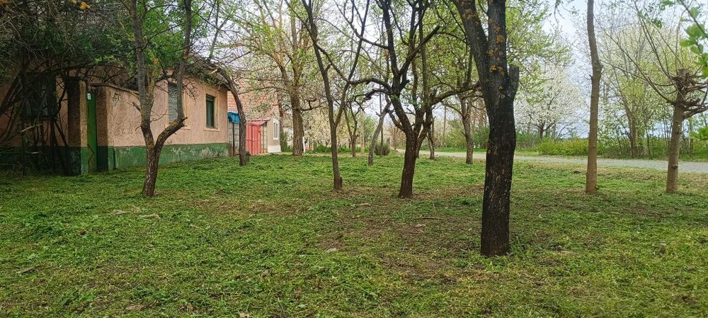 Vand casa in Peregul Mic  jud Arad preț 24700 euro neg