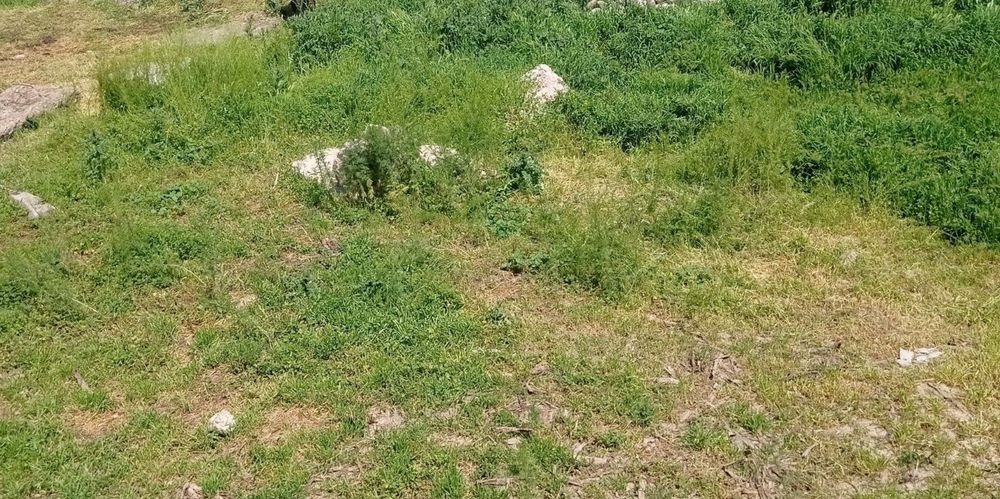 Хасанбой Ёшлик спорт комплекс 4сот