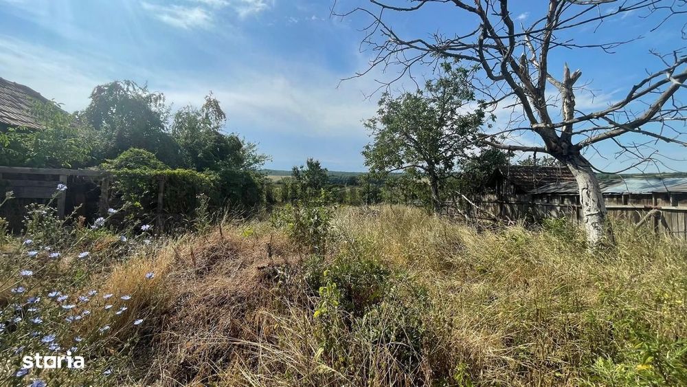 Casă bătrânească in Mierlău | Teren 2.000 mp | 20 min de Oradea